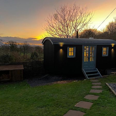 Mountain View Shepherd'S Hut For 2 Adults, 1 Dog Villa Llangoed ภายนอก รูปภาพ