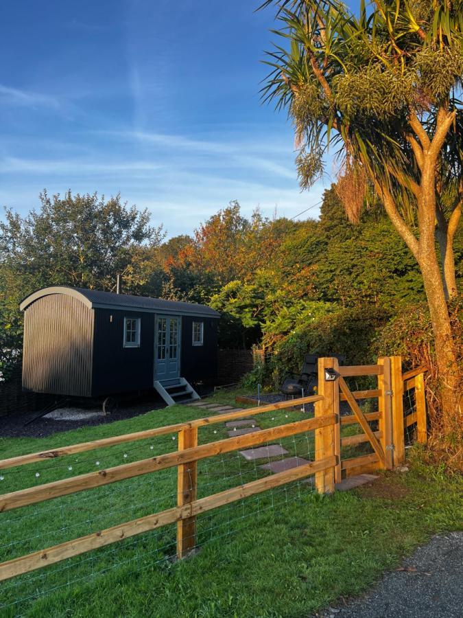 Mountain View Shepherd'S Hut For 2 Adults, 1 Dog Villa Llangoed ภายนอก รูปภาพ